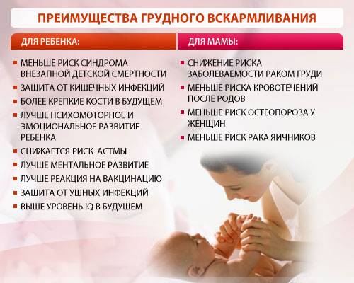 Долгое кормление грудью. собственный опыт: дети - женская социальная сеть myjulia.ru