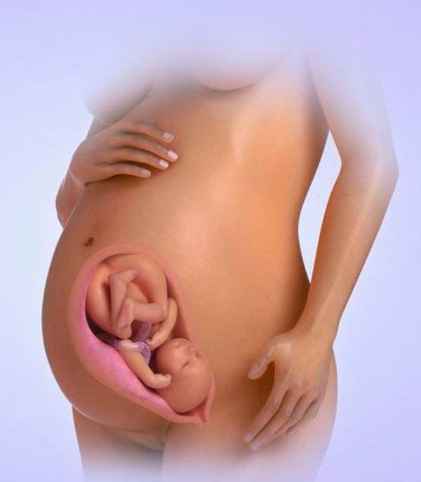 38 неделя беременности / календарь беременности