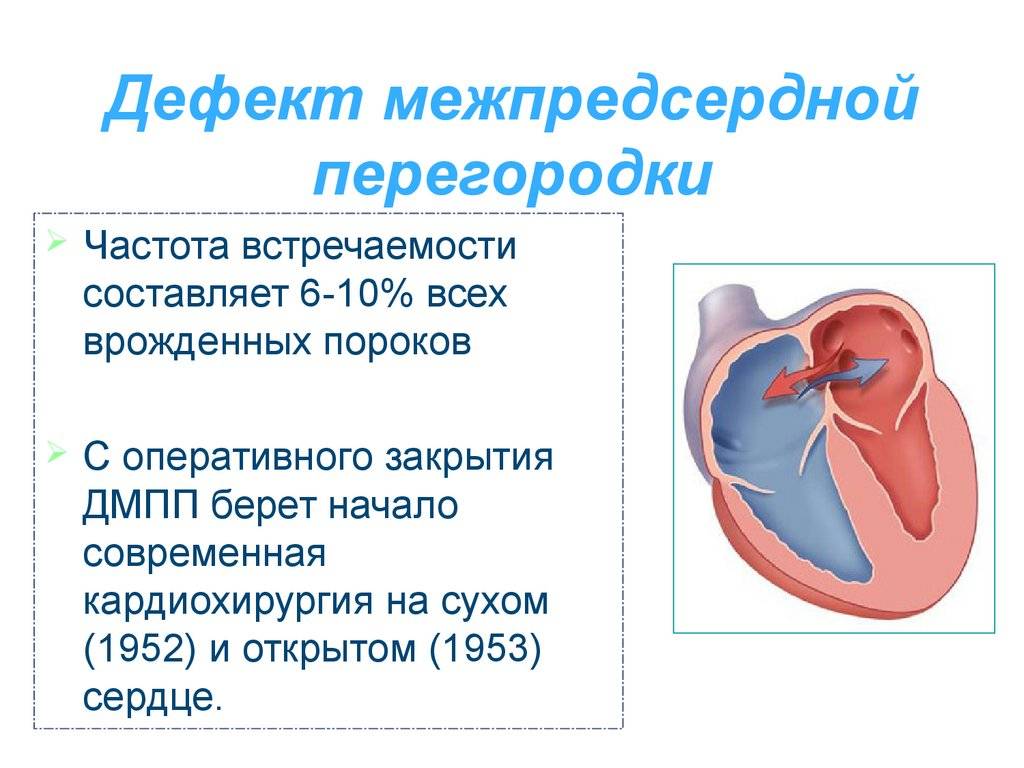 Сердечная забота – клиника «9 месяцев»