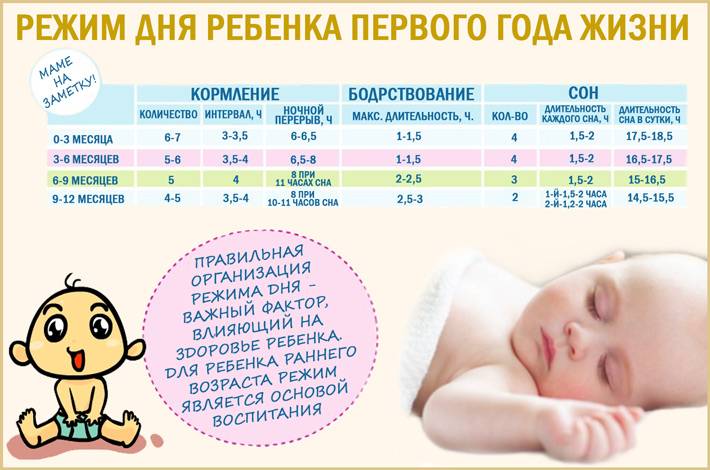 Режим сна ребенка до года по месяцам: подробное описание, таблица