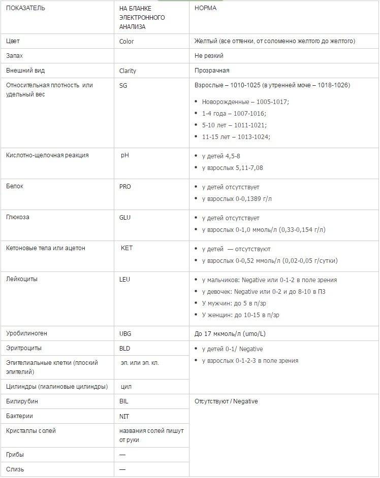 Анализ мочи — диагностика с максимальной результативностью * клиника диана в санкт-петербурге