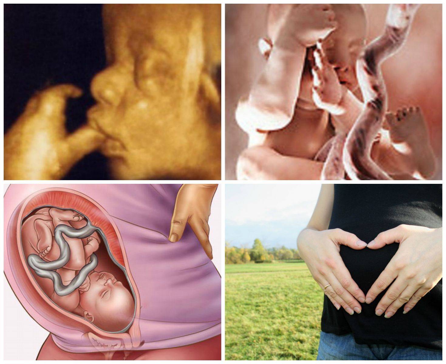 Семь недель беременности: что происходит с мамой и малышом, советы врача