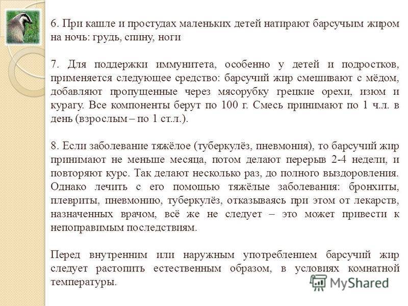 Натуральный животный продукт при лечении пневмонии — барсучий жир