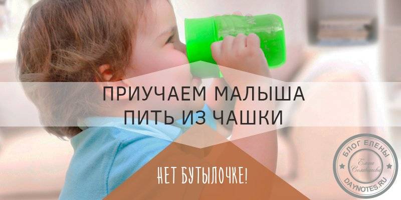Как научить ребенка пить из кружки самостоятельно: лучший возраст, методы и приемы
