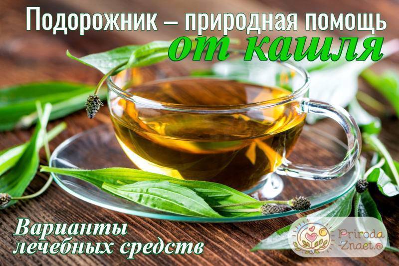 Какао с медом от кашля: рецепты | компетентно о здоровье на ilive