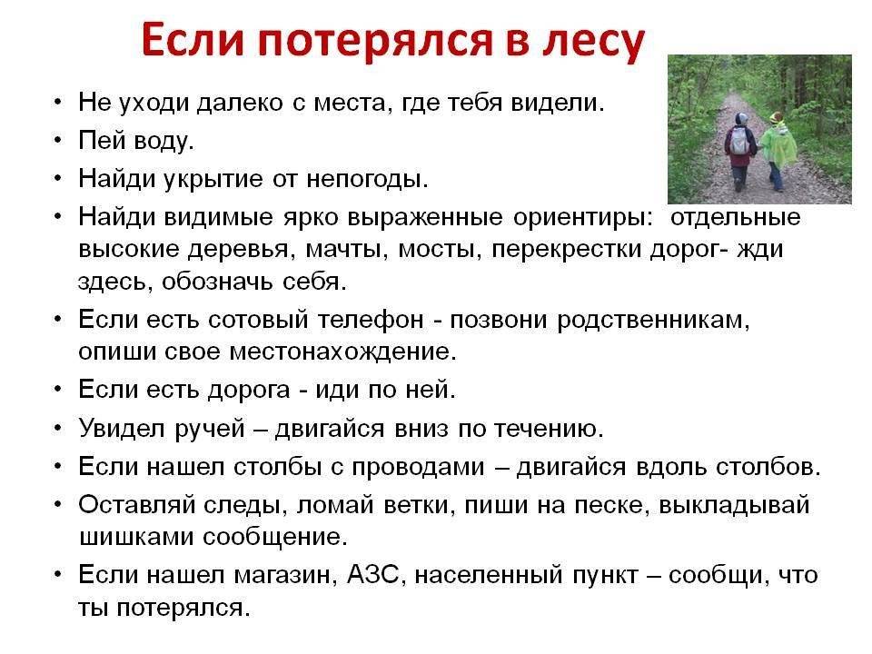 Безопасность детей летом: что делать, чтобы ребенок не потерялся на даче или в лесу? безопасный детский отдых - памятка для родителей