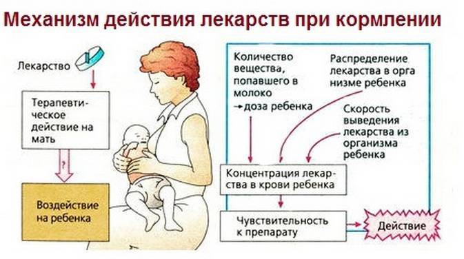 Можно ли кормить грудным молоком при температуре у кормящей мамы, как измерить температуру