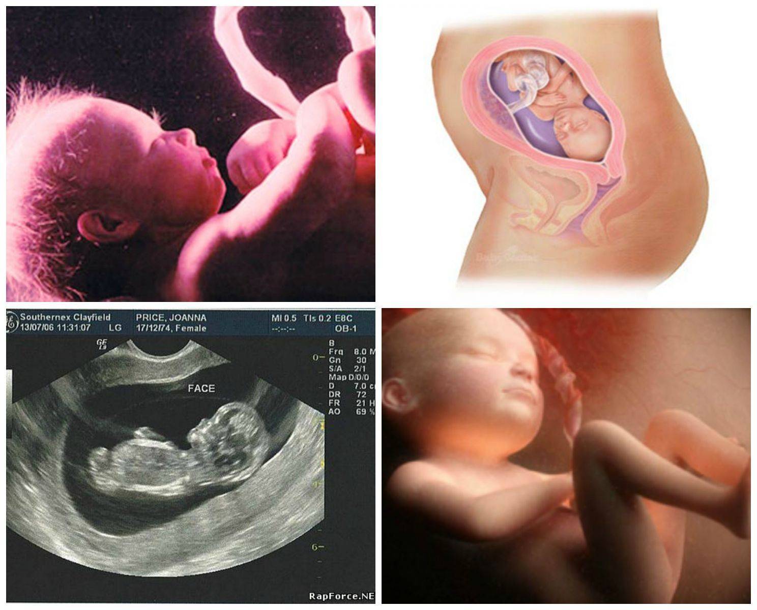 8 неделя беременности: развитие малыша и самочувствие мамы