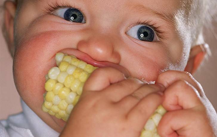 С какого возраста можно давать кукурузу ребенку?