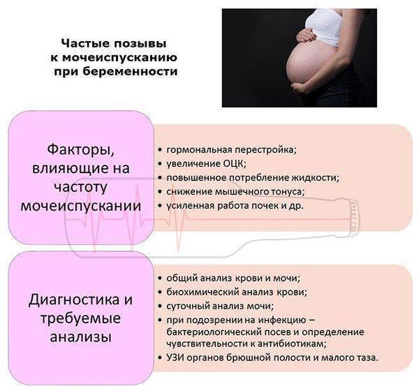 Регресс при беременности