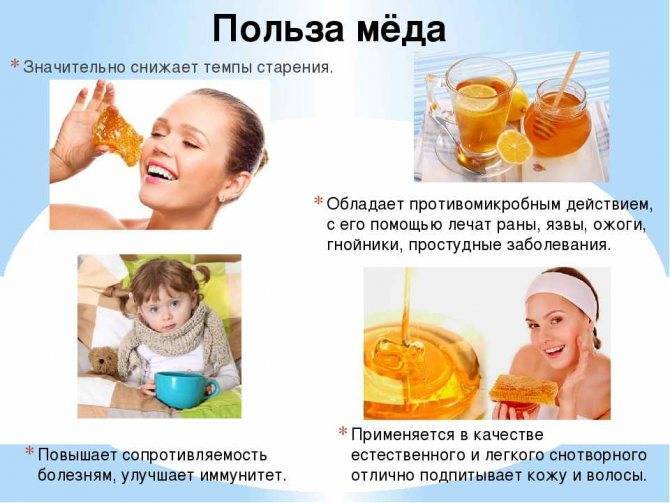 Мёд для детей: можно ли давать мёд детям? с какого возраста? польза и противопоказания.