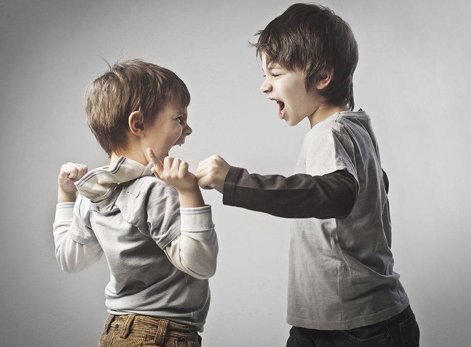 Как отучить ребенка драться в 1 - 2 года