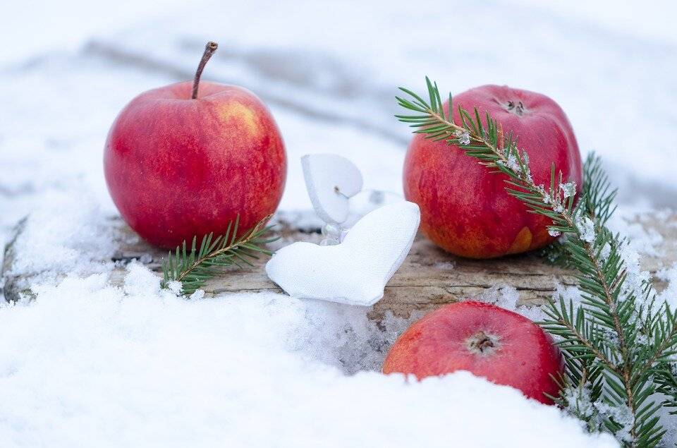 Зимние фрукты: какие фрукты есть зимой - список полезных
зимние фрукты: какие фрукты есть зимой - список полезных