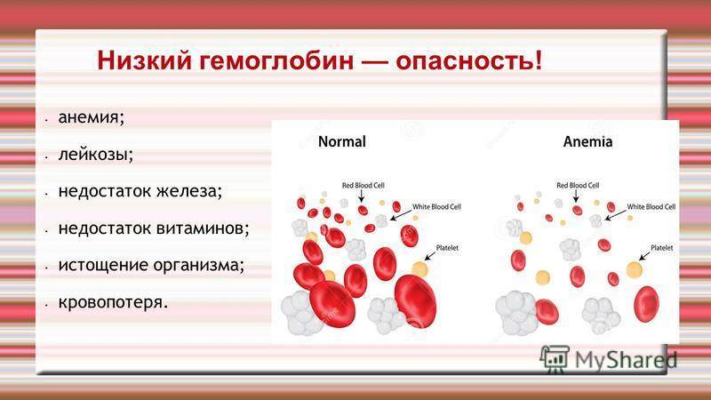 Анализ крови на гемоглобин: норма, низкий и высокий гемоглобин, расшифровка