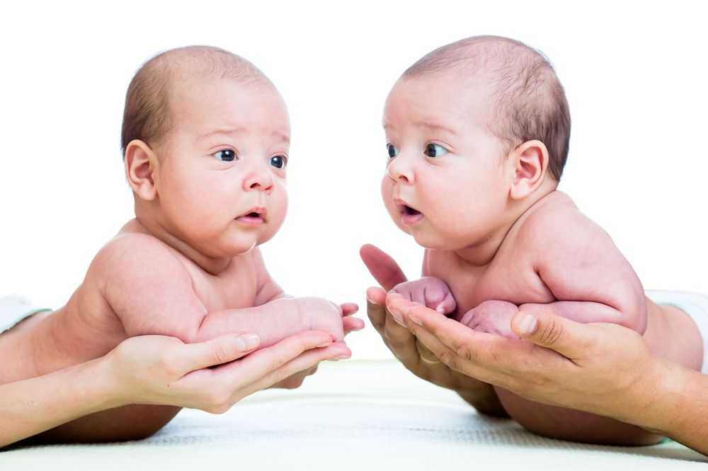Государство для близнецов или социальная поддержка при рождении двоих и более детей одновременно