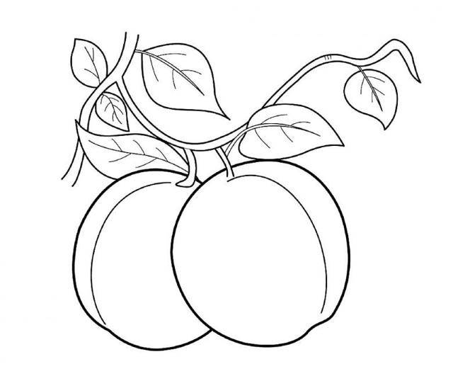 Как рисовать аппетитные фрукты и овощи