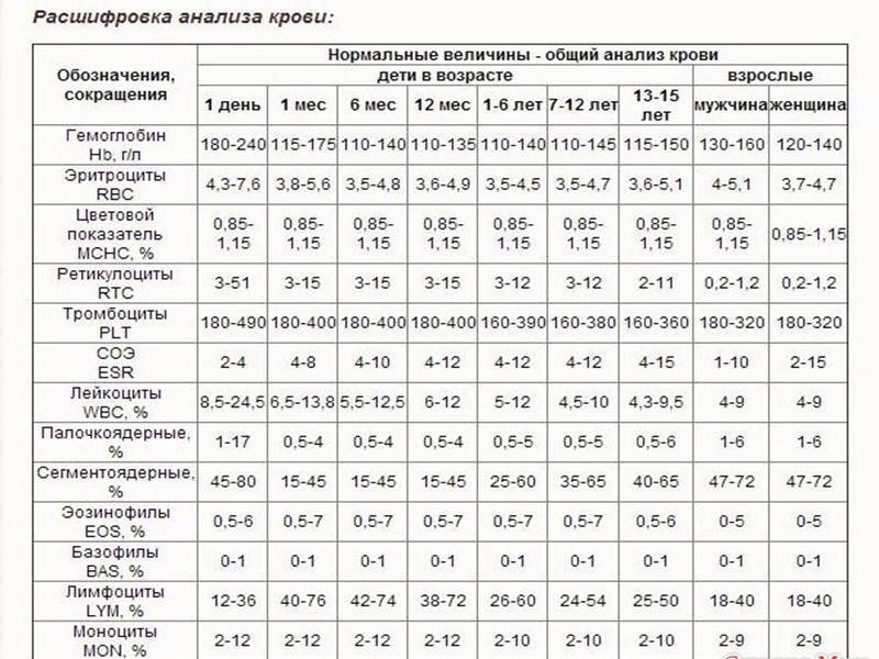 Плазматические клетки в крови у ребенка