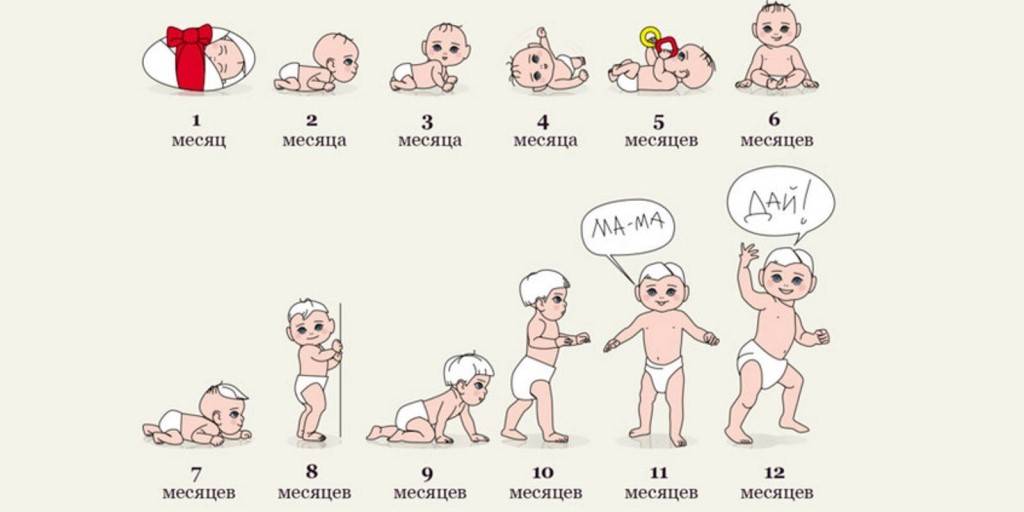 Развитие ребенка по месяцам до 1 года: таблица роста и веса, отличия в развитии мальчиков и девочек.