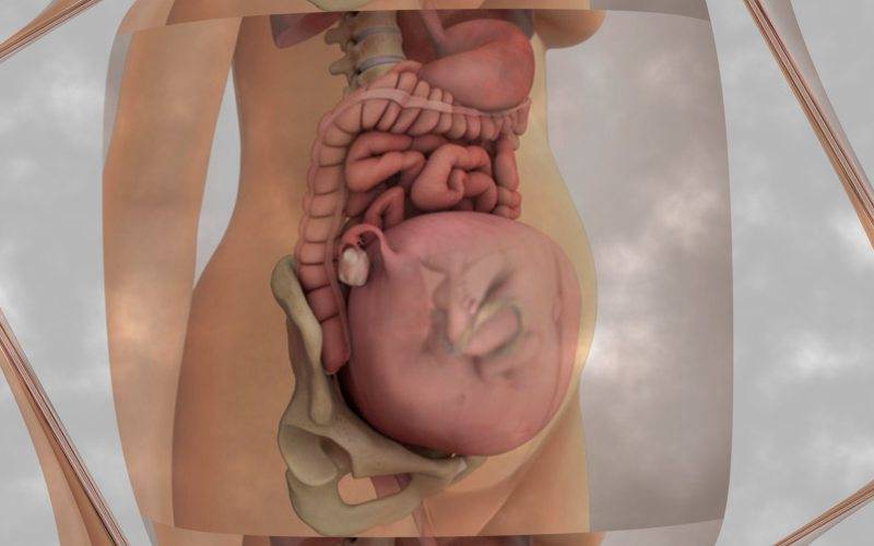 1 триместр беременности: признаки, анализы, токсикоз, что можно и что нельзя