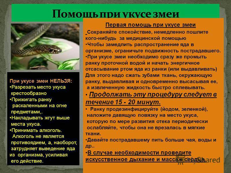 Первая помощь: дети и укусы насекомых 