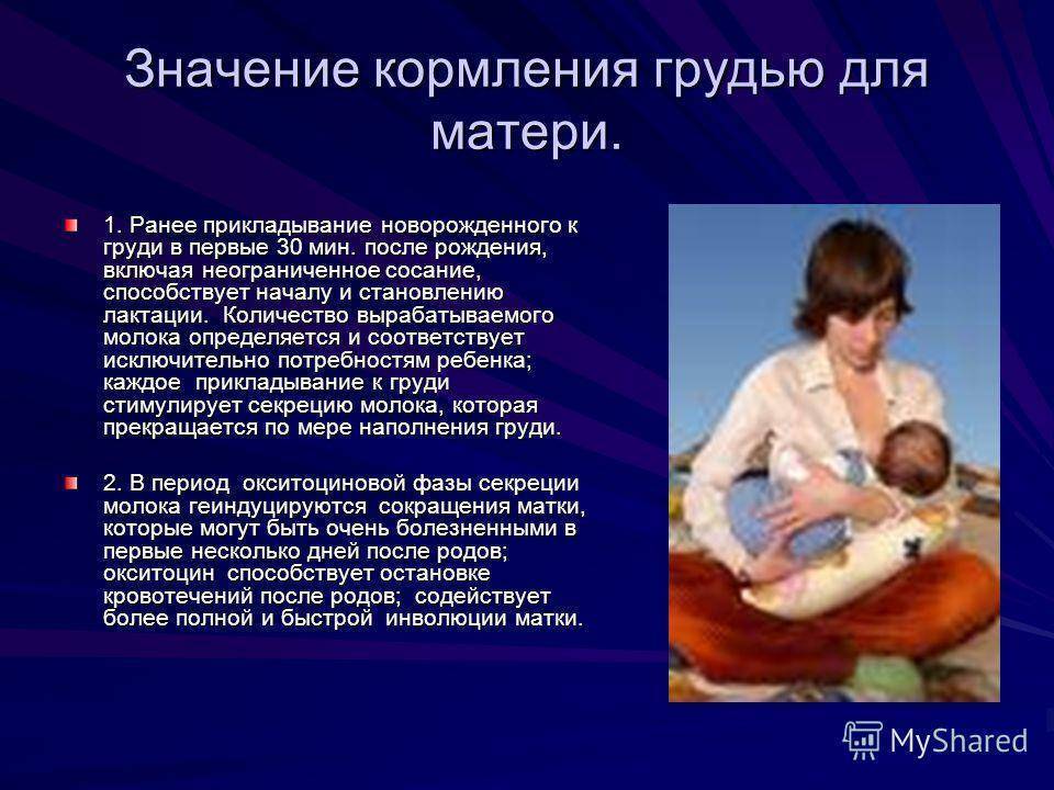 Из груди или из бутылочки? мифы и правда о сцеженном молоке