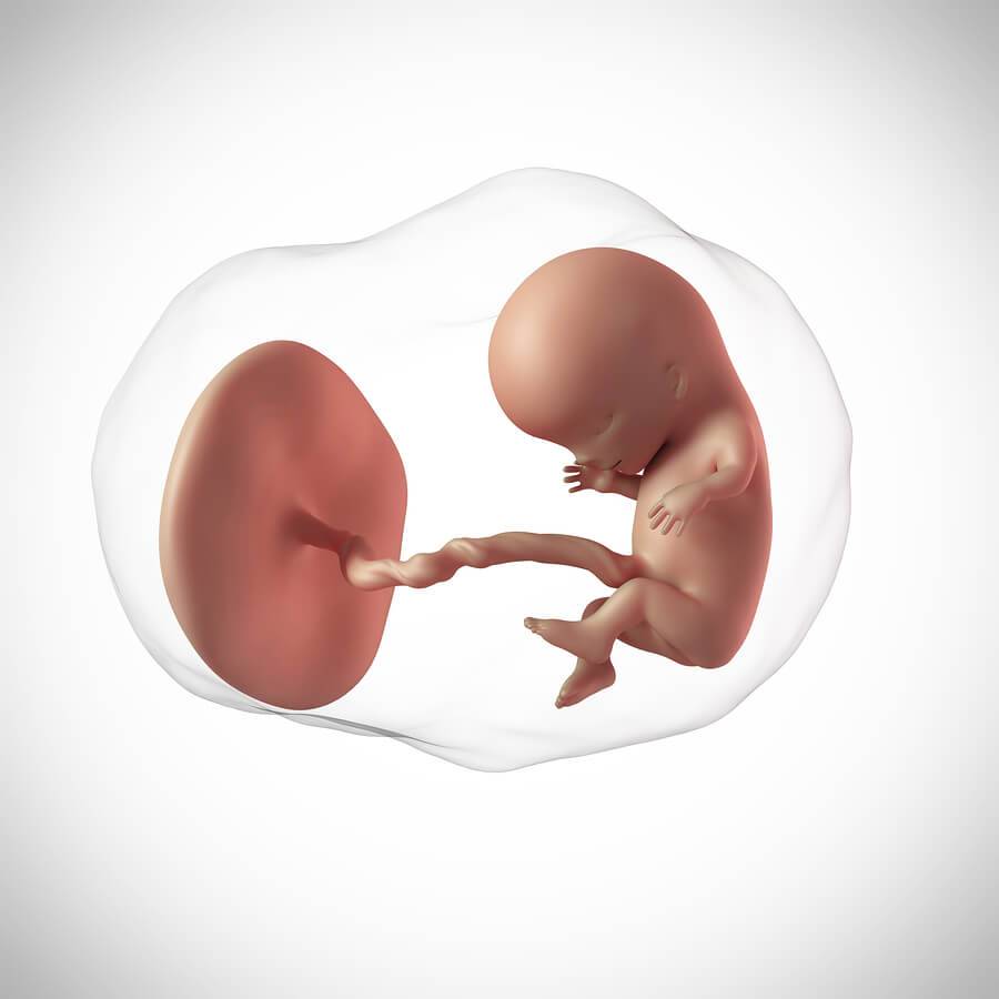 Анэмбриония или почему не видно эмбриона на узи - статья репродуктивного центра «за рождение»
