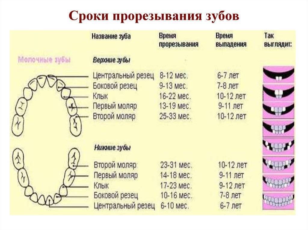 Симптомы при прорезывания зубов, возможные осложнения и их лечения