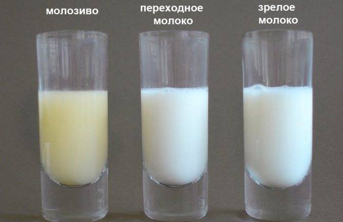 Какое на вкус грудное молоко и от чего зависит его вкус?