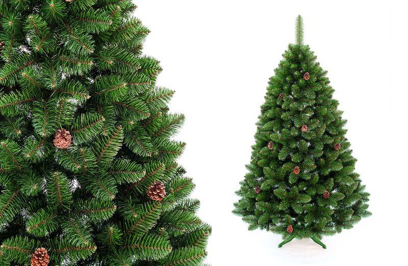 Что лучше: искусственная или натуральная елка? 5 правил, которые помогут сделать новый год экологичным