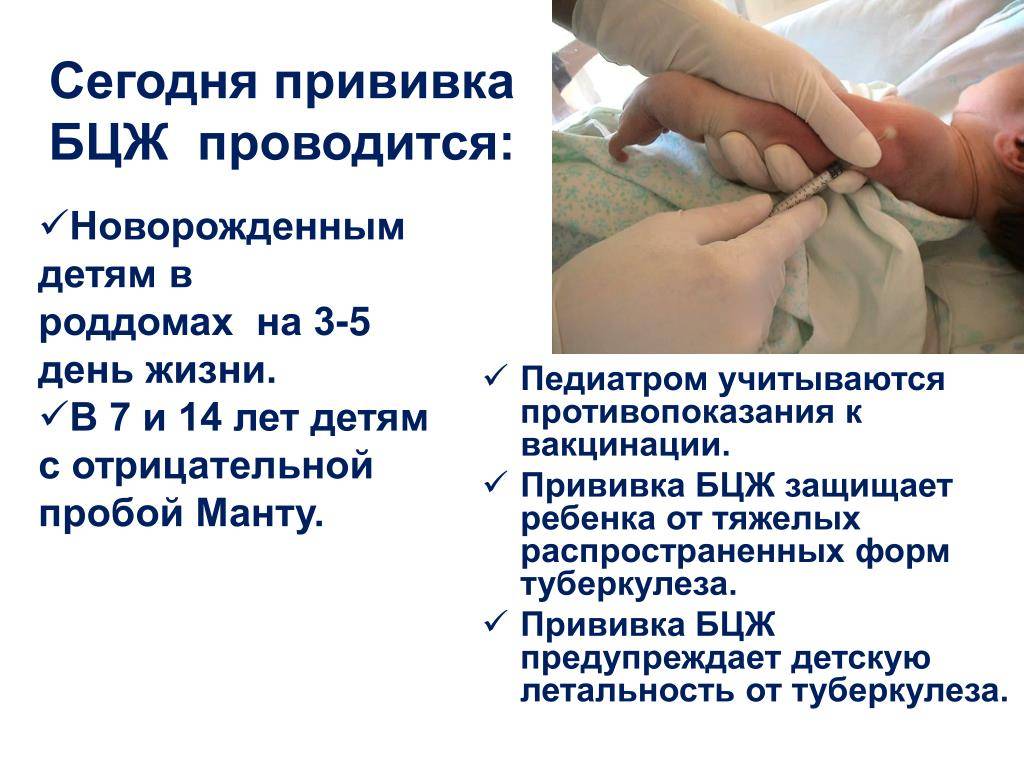 Какие прививки делают в роддоме новорожденным в 2021 году
