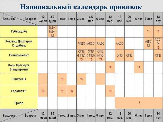 Схема прививок пентаксим