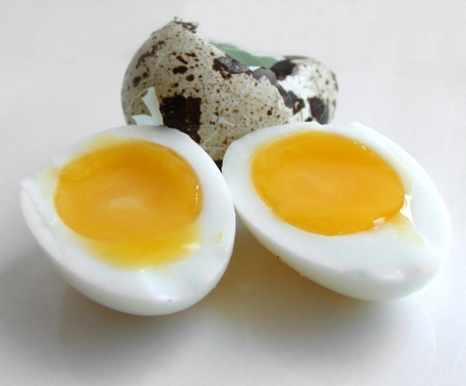 Можно ли употреблять яйца при беременности? | компетентно о здоровье на ilive