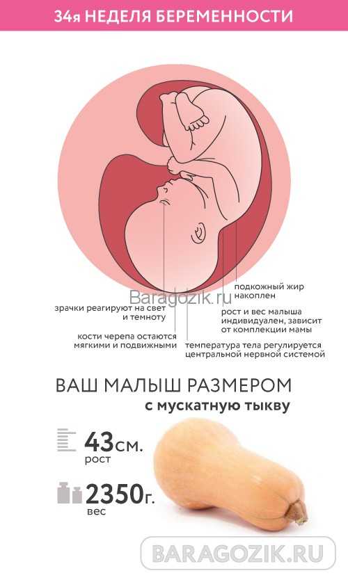 Миома матки при беременности: рекомендации гинеколога