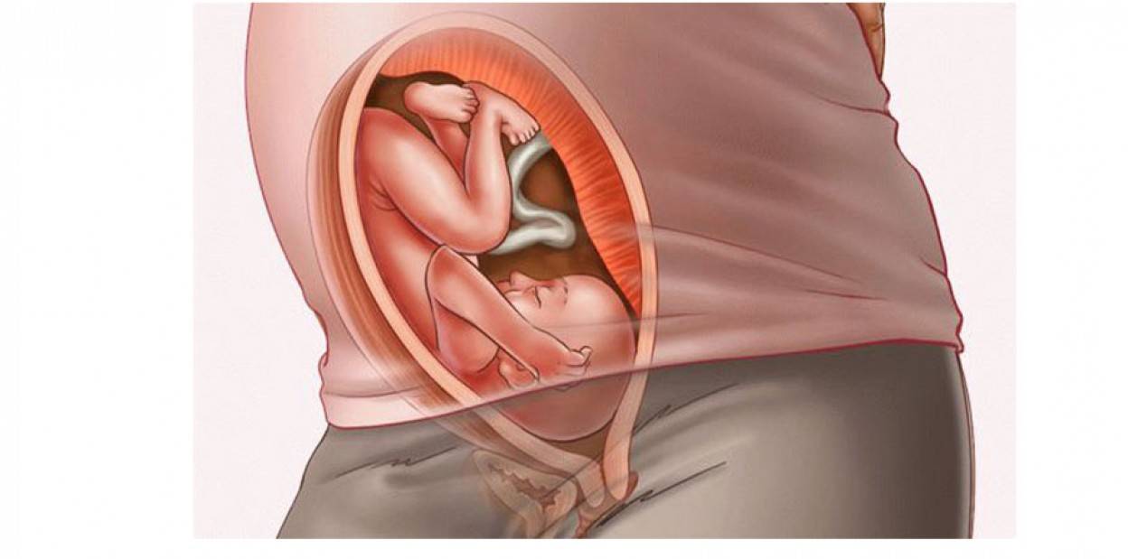 32 неделя беременности: организм будущей мамы готовится к родам