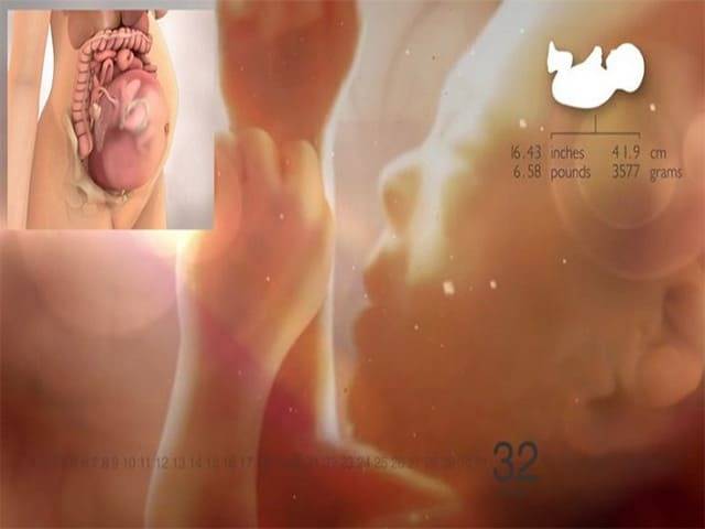 32 неделя беременности: изменения в организме матери и малыша, ощущения, медицинские обследования, питание и режим, факторы риска и опасности. календарь беременности по неделям.