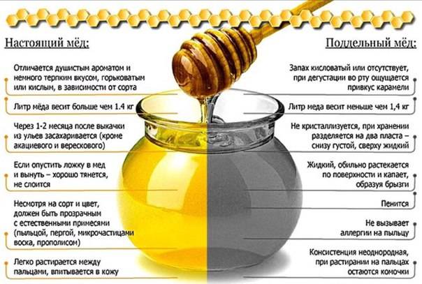 Можно ли мёд при грудном вскармливании?
