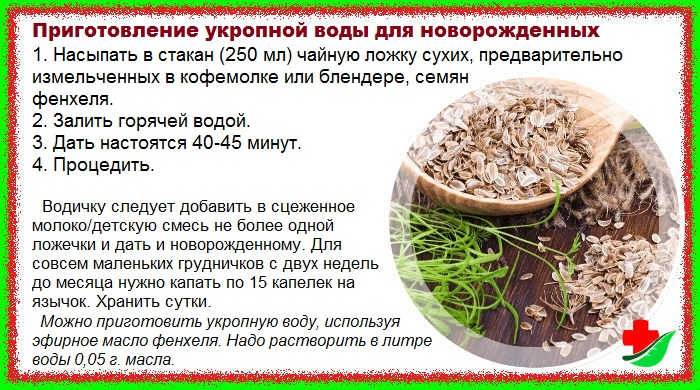 Семена укропа от коликов: как заваривать для новорожденных, есть ли польза от растения и какая, как применять? русский фермер