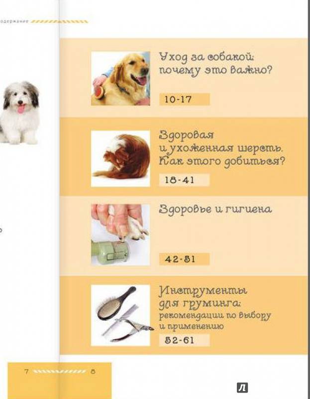 Как заботиться о домашнем питомце (с иллюстрациями)