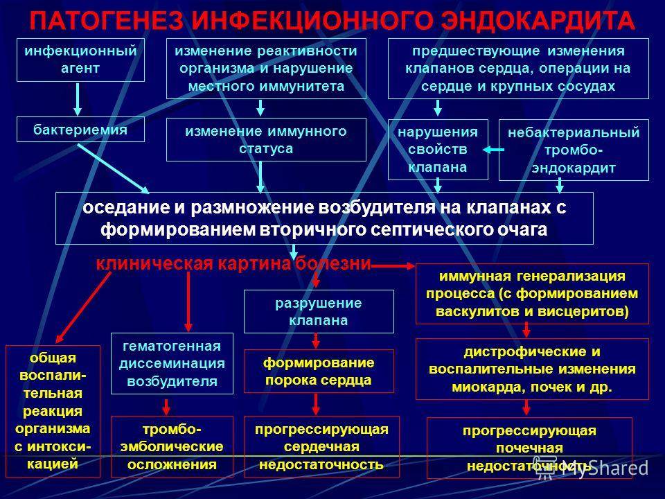 Инфекционный эндокардит — что делать? лечение в кардиологии цэлт