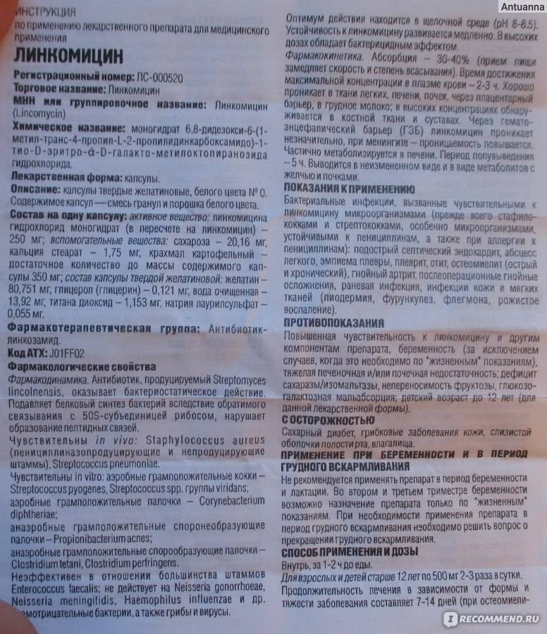 Ликопид - инструкция по применению - 36n6.ru