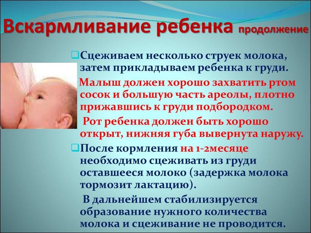 Уход за новорожденным в первые месяцы жизни - сибирский медицинский портал