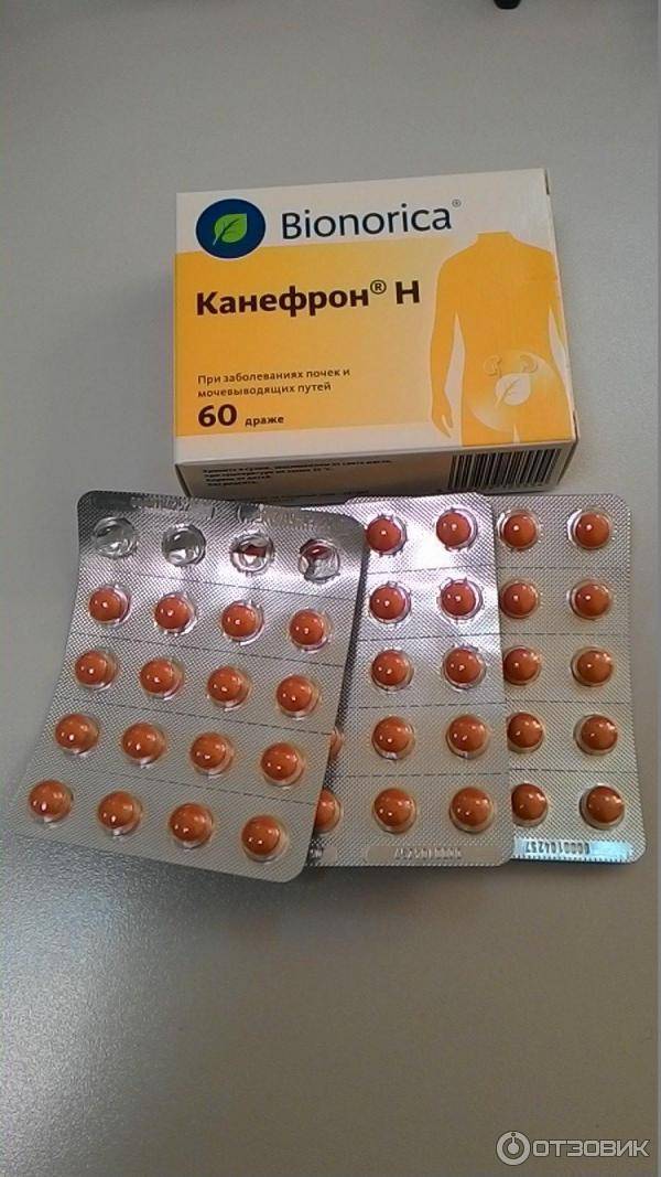 Канефрон н (таблетки, 60 шт) - цена, купить онлайн в санкт-петербурге, описание, заказать с доставкой в аптеку - все аптеки