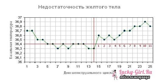 Функциональные методы диагностики в гинекологии