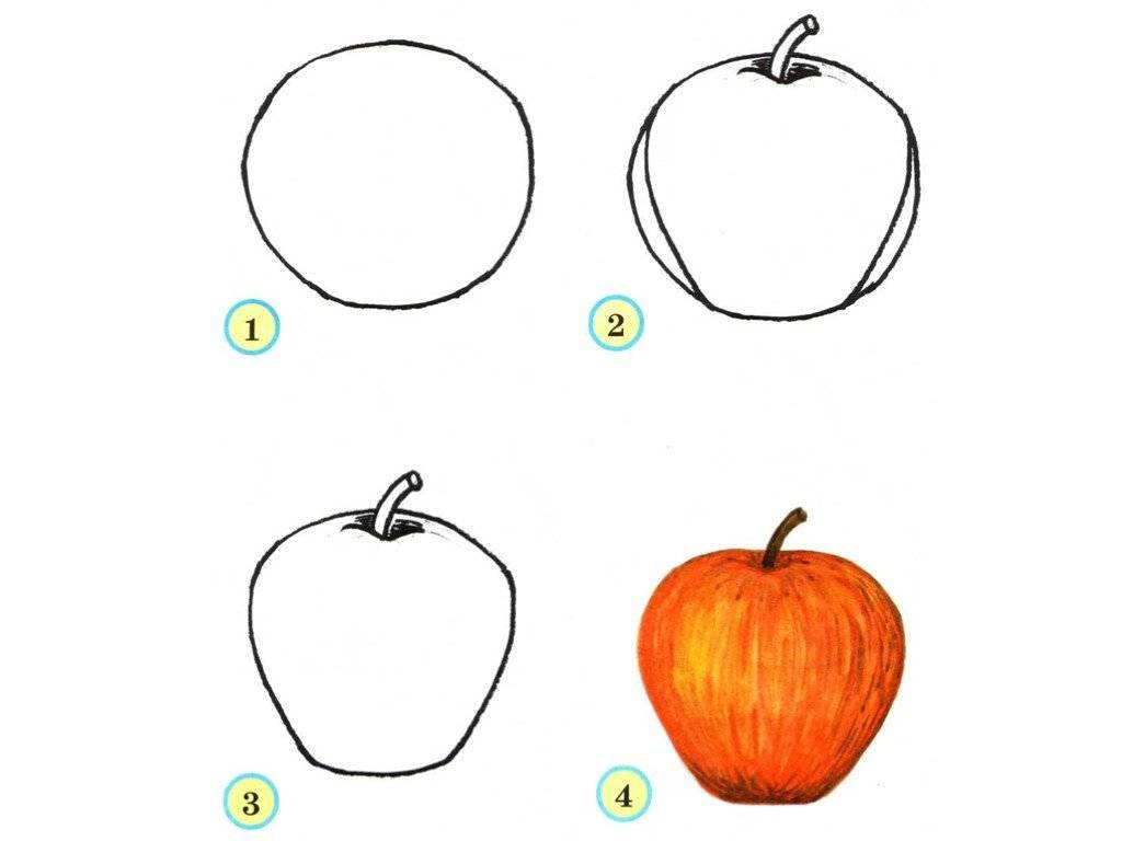 Учимся рисовать с детьми фрукты, овощи и ягоды — как нарисовать фрукты — хобби и развлечения