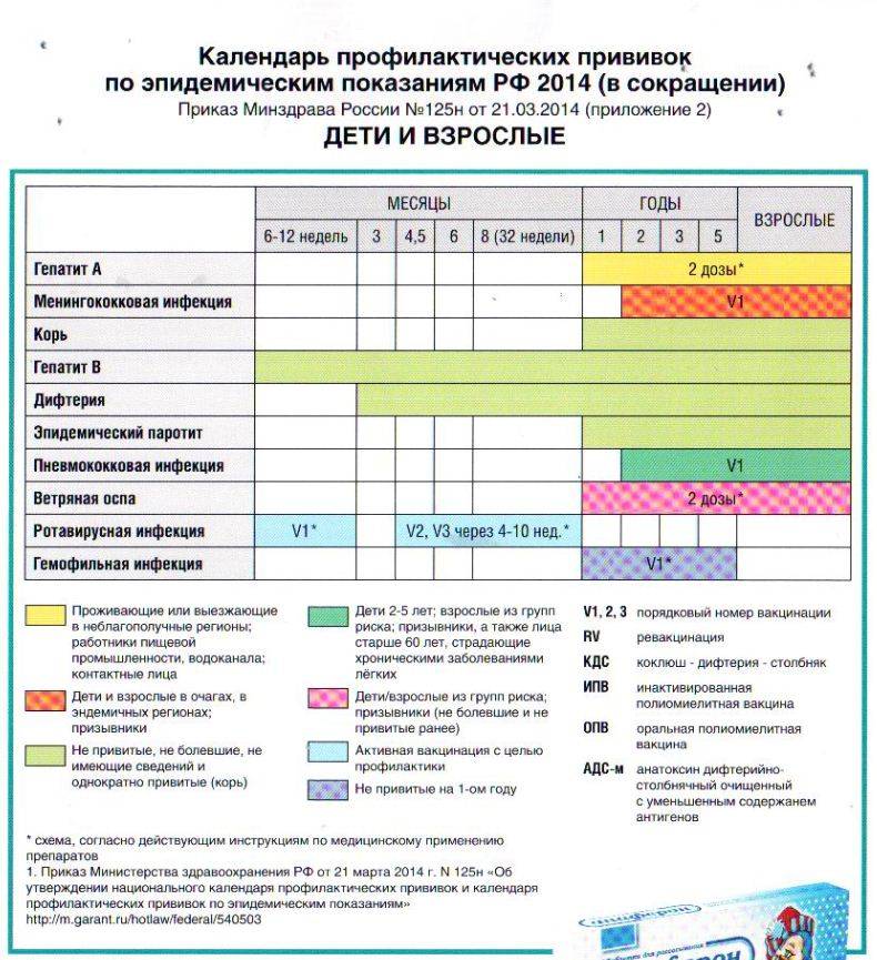 Календарь прививок 2021 для детей и взрослых (таблица)