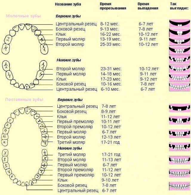 Гель при прорезывании зубов у грудничков: пансорал, калгель, дентинокс