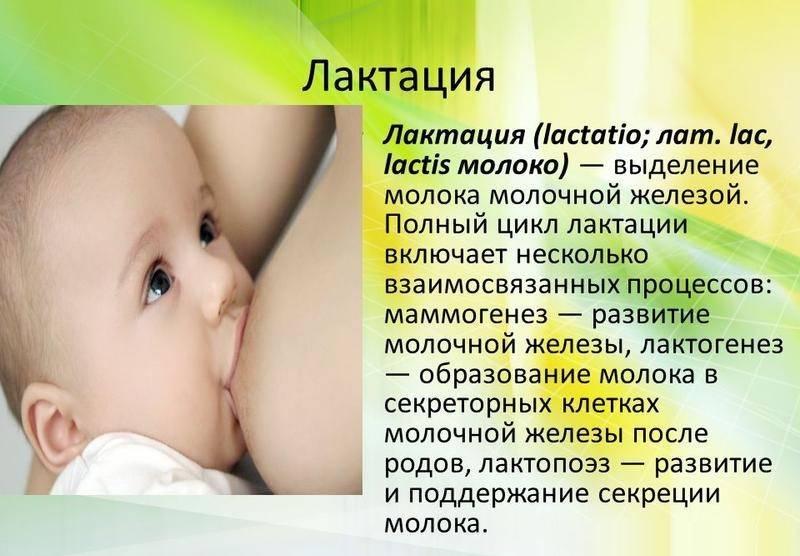 О пользе гв в частности и после 1,5- 2 лет - грудное вскармливание - страна мам