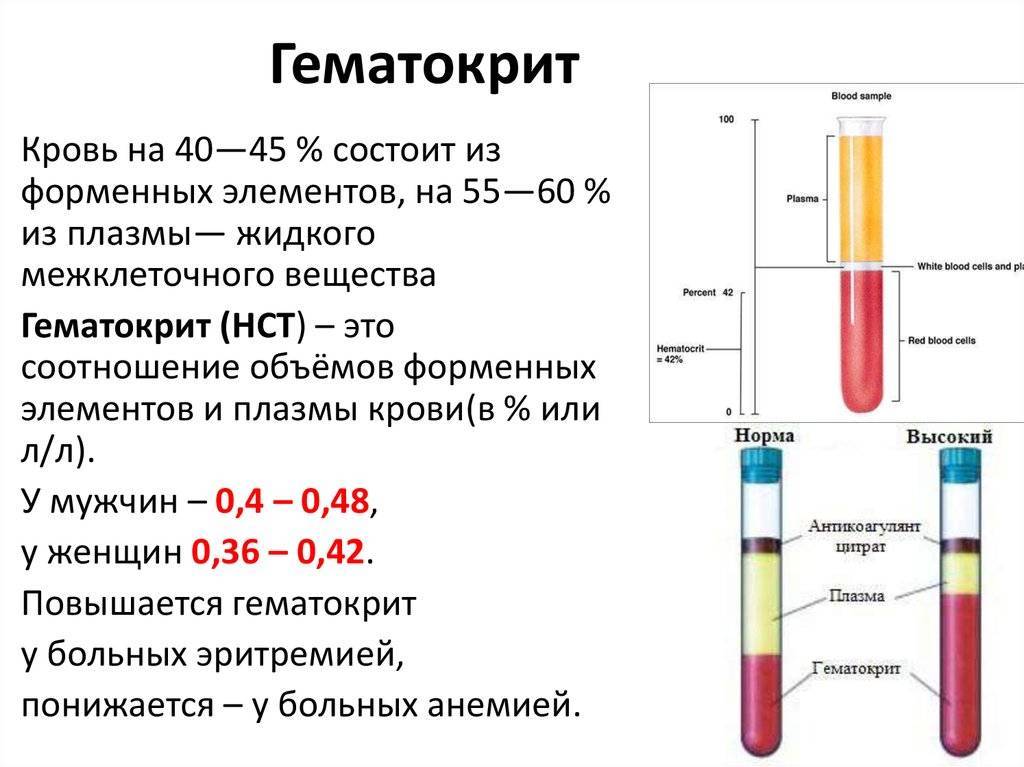Расшифровка анализа крови таблица расшифровки анализов медицинских