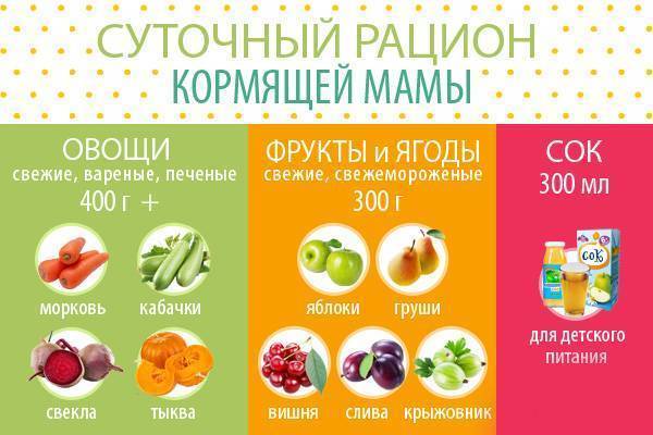 Какие овощи и фрукты можно кушать на гв: время и особенности введения плодов в рацион кормящей мамы