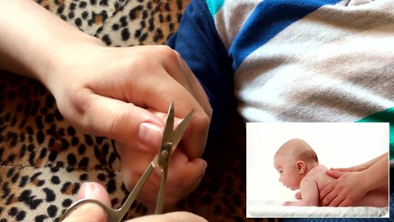 Как правильно стричь ногти на руках ребенку и взрослому различными инструментами